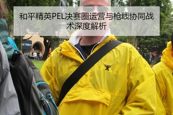 he-ping-jing-ying-jue-sai-quan-yun-ying-yu-qiang-xian-xie-tong-zhan-shu-shen-du-jie-xi-2-461.jpg