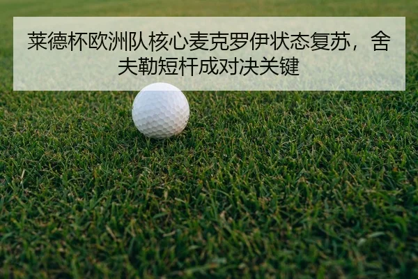 lai-de-bei-ou-zhou-dui-he-xin-mai-ke-luo-yi-zhuang-tai-fu-su-she-fu-lei-duan-gan-cheng-dui-jue-guan-jian-2-965.jpg