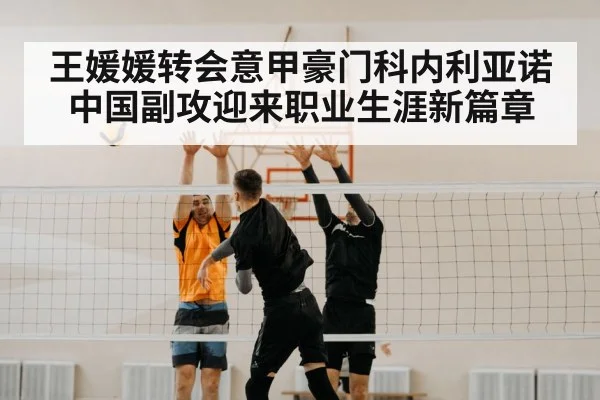王媛媛转会意甲豪门科内利亚诺 中国副攻迎来职业生涯新篇章