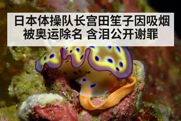 日本体操队长宫田笙子因吸烟被奥运除名 含泪公开谢罪